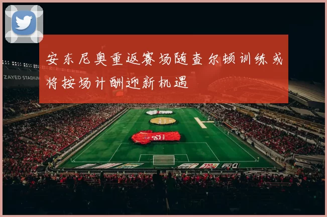 安东尼奥重返赛场随查尔顿训练或将按场计酬迎新机遇