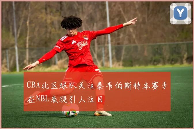 CBA北区球队关注泰韦伯斯特本赛季在NBL表现引人注目